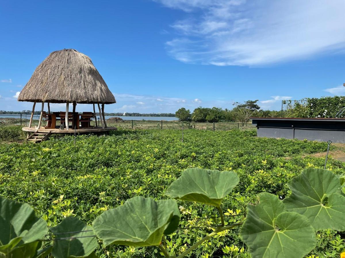 विला Blue Wild - Yala - Plastic Free & Sustainable Tissamaharama