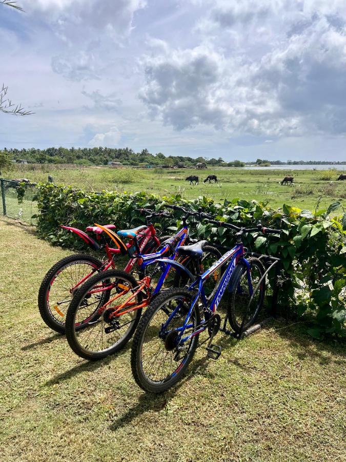 Blue Wild - Yala - Plastic Free & Sustainable * Tissamaharama