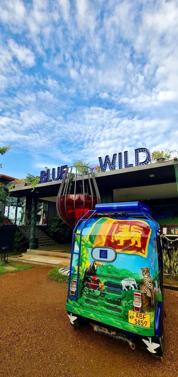 Blue Wild - Yala - Plastic Free & Sustainable विला